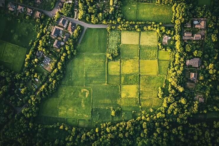 SNN Raj Green Bay Plots